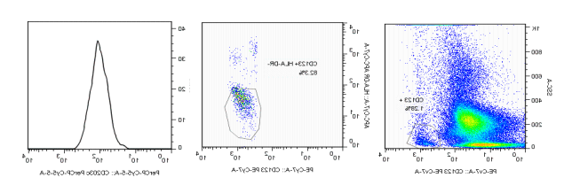 Human basophilic granulocyte activation detection kit